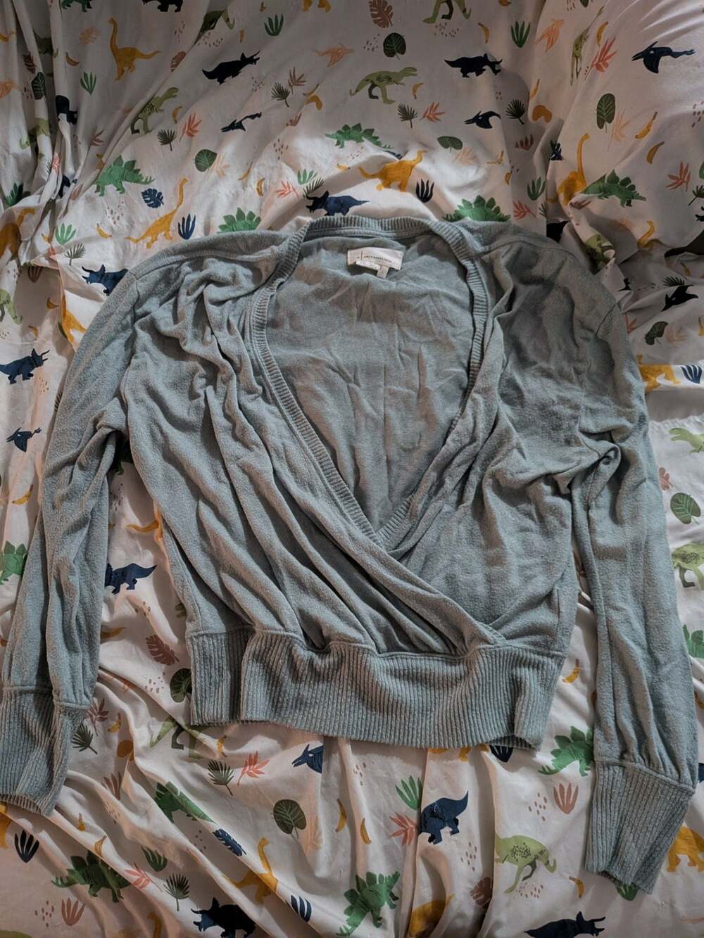 Anthropologie Women's Long Sleeve Surplice Wrap V-Neck Sweater Light Green Size